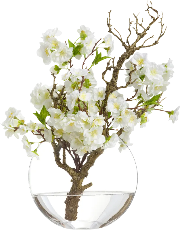 Asrith White Silk Plant