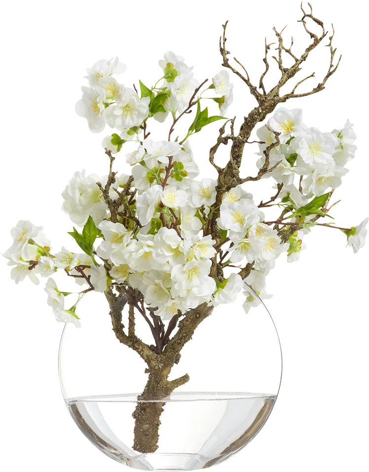 Asrith White Silk Plant - Image 1