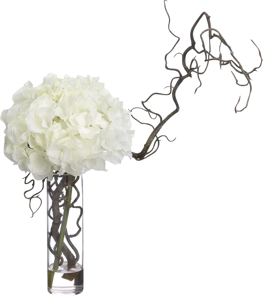 Briaten White Silk Plant - Thumbnail - Image 1