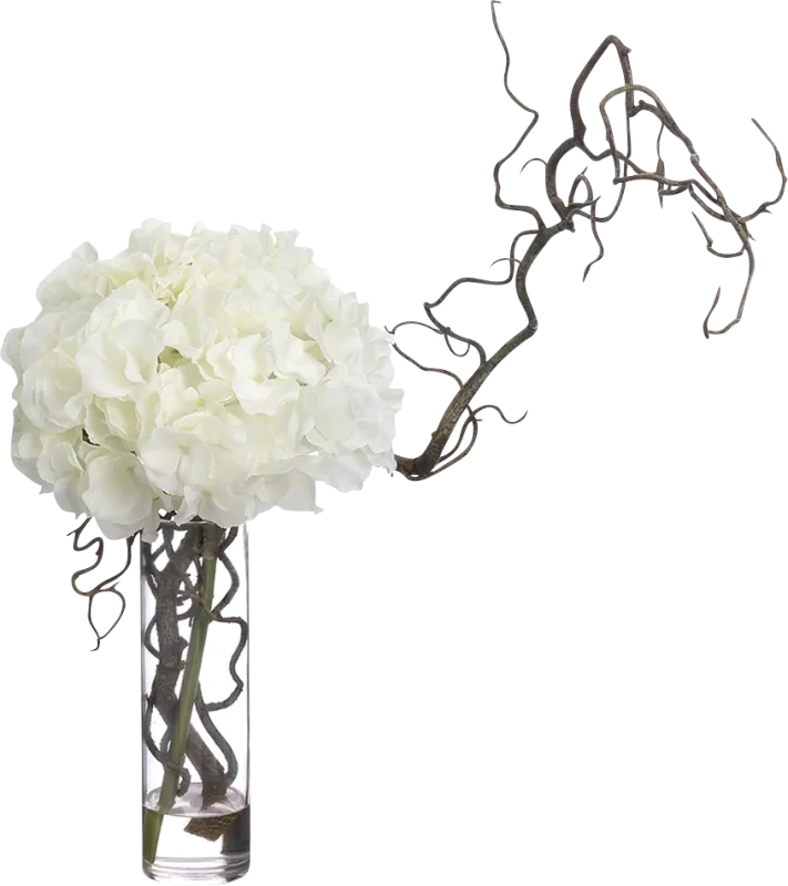 Briaten White Silk Plant
