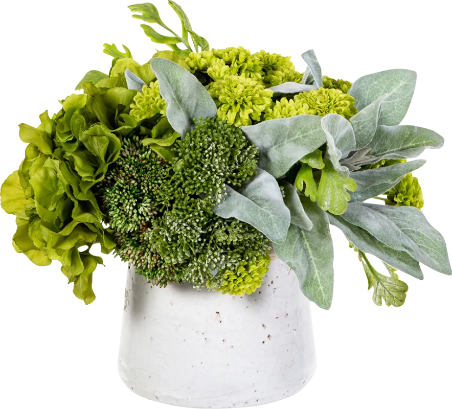 Eloten Green Silk Plant