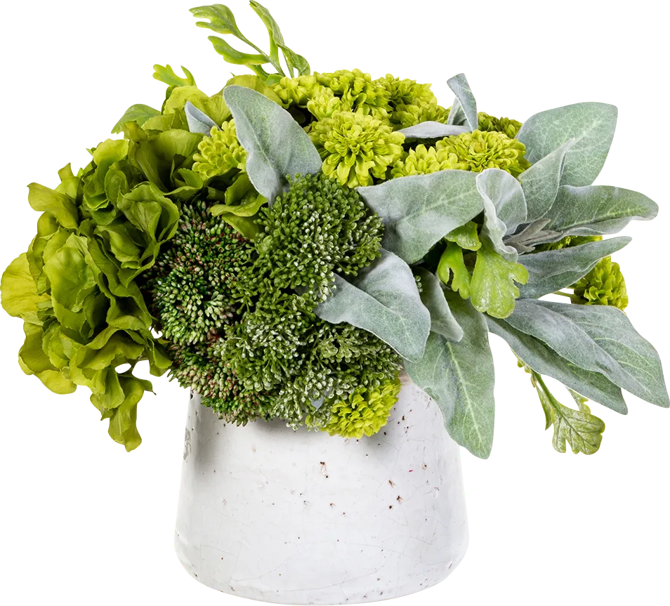 Eloten Green Silk Plant - Image 1