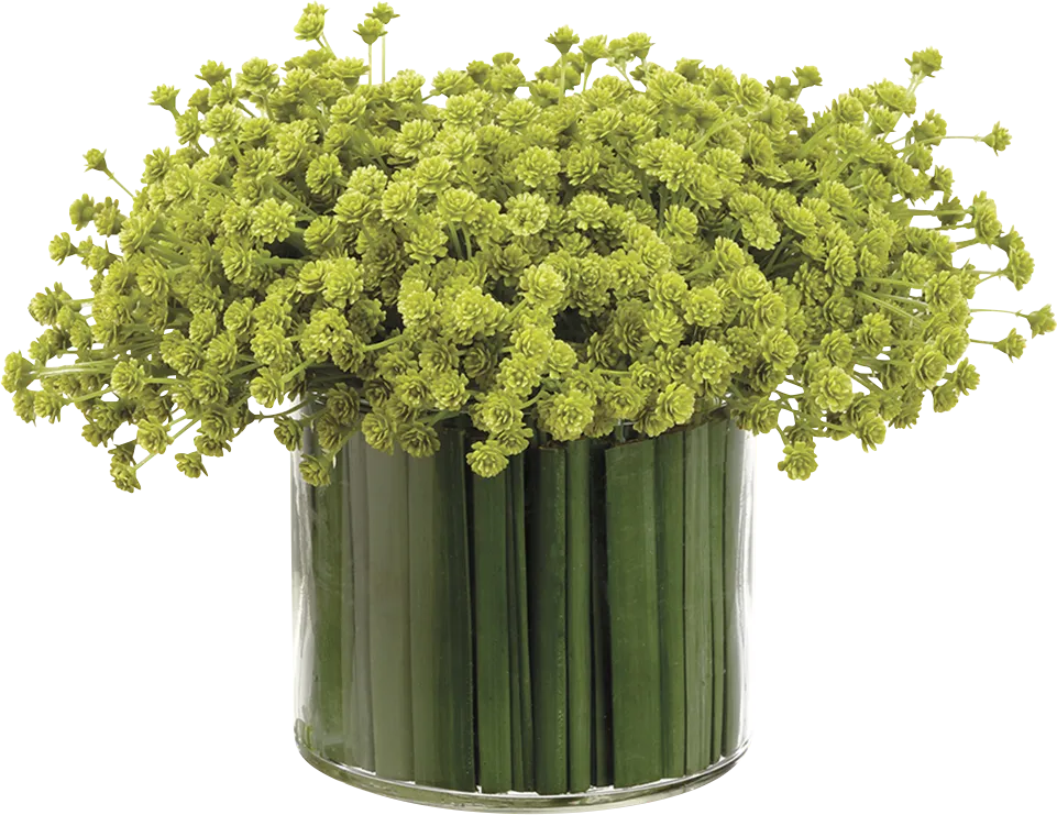 Nelin Green Silk Plant - Thumbnail - Image 1