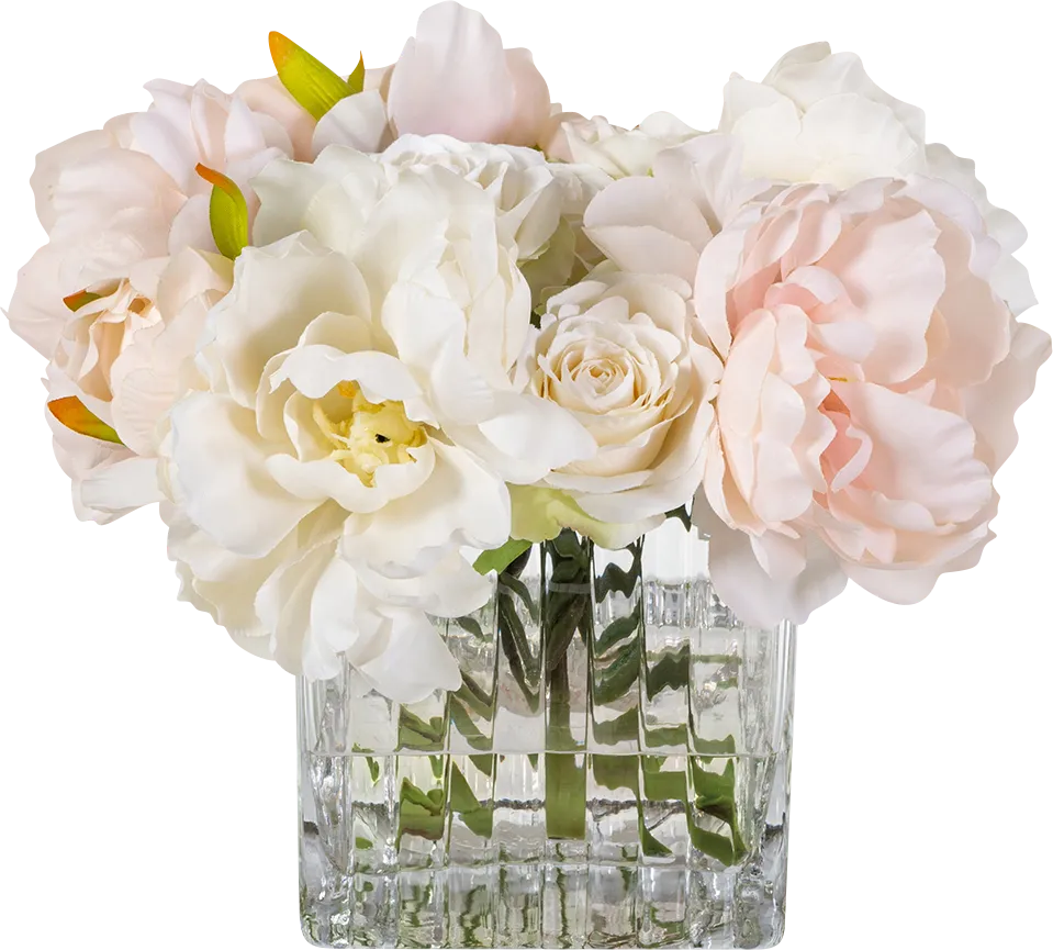Melin Pink Silk Plant - Image 1