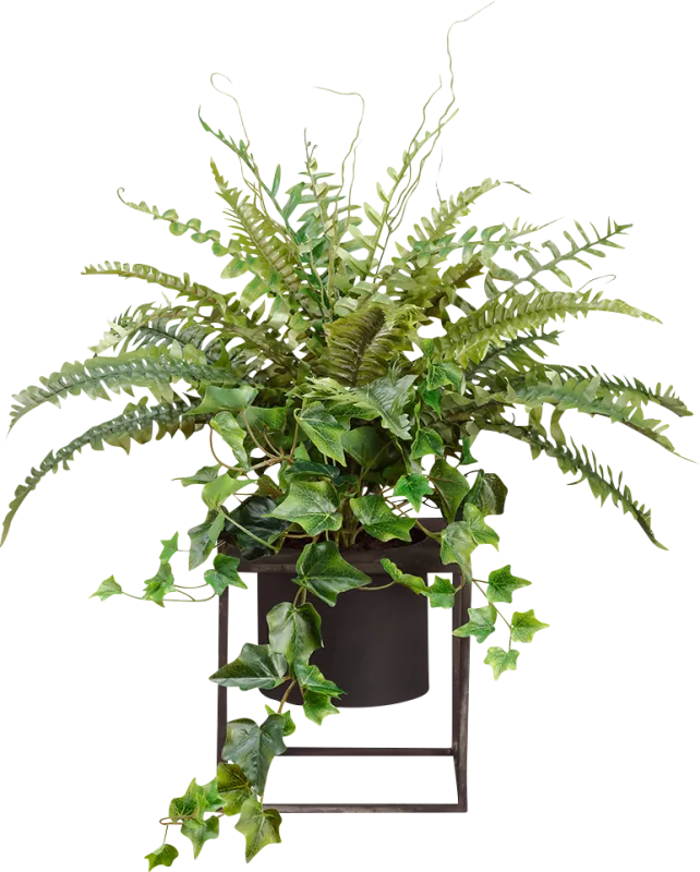 Elenci Green Silk Plant