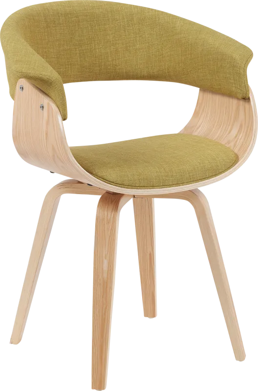 Rinoex Green Arm Chair