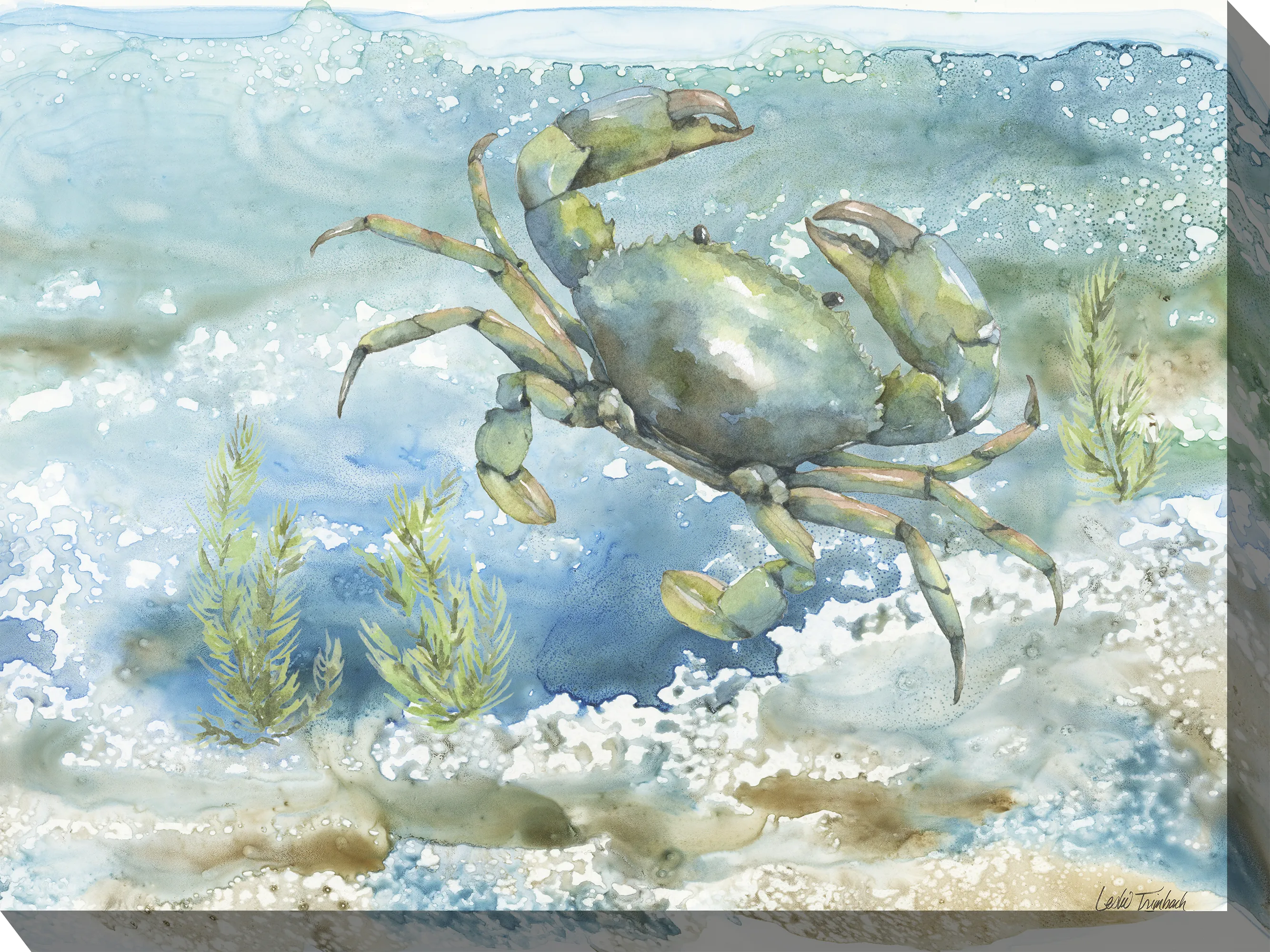 Sea Life Crab Aqua Indoor/Outdoor Wall Art - Thumbnail - Image 1