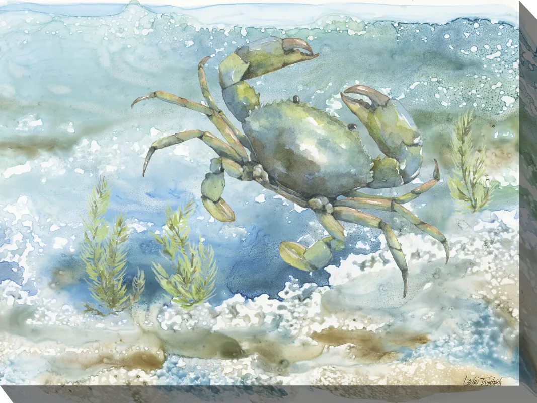 Sea Life Crab Aqua Indoor/Outdoor Wall Art