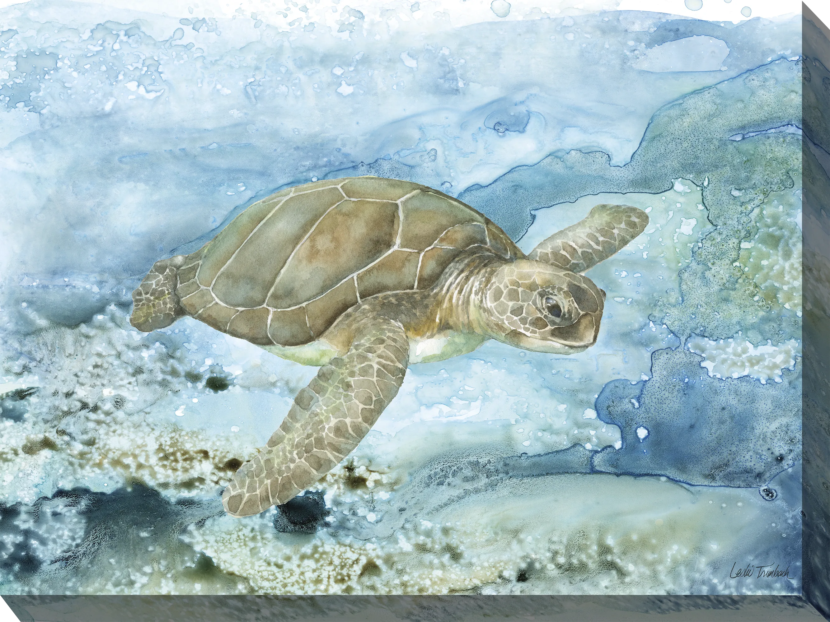 Sea Life Turtle Aqua Indoor/Outdoor Wall Art - Thumbnail - Image 1