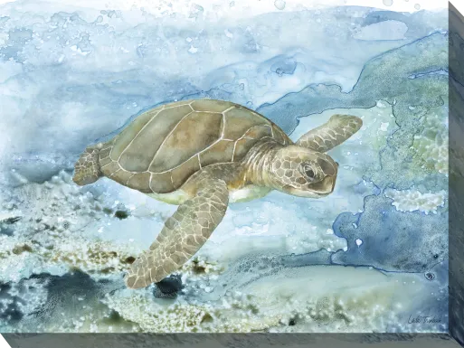 Sea Life Turtle Aqua Indoor/Outdoor Wall Art