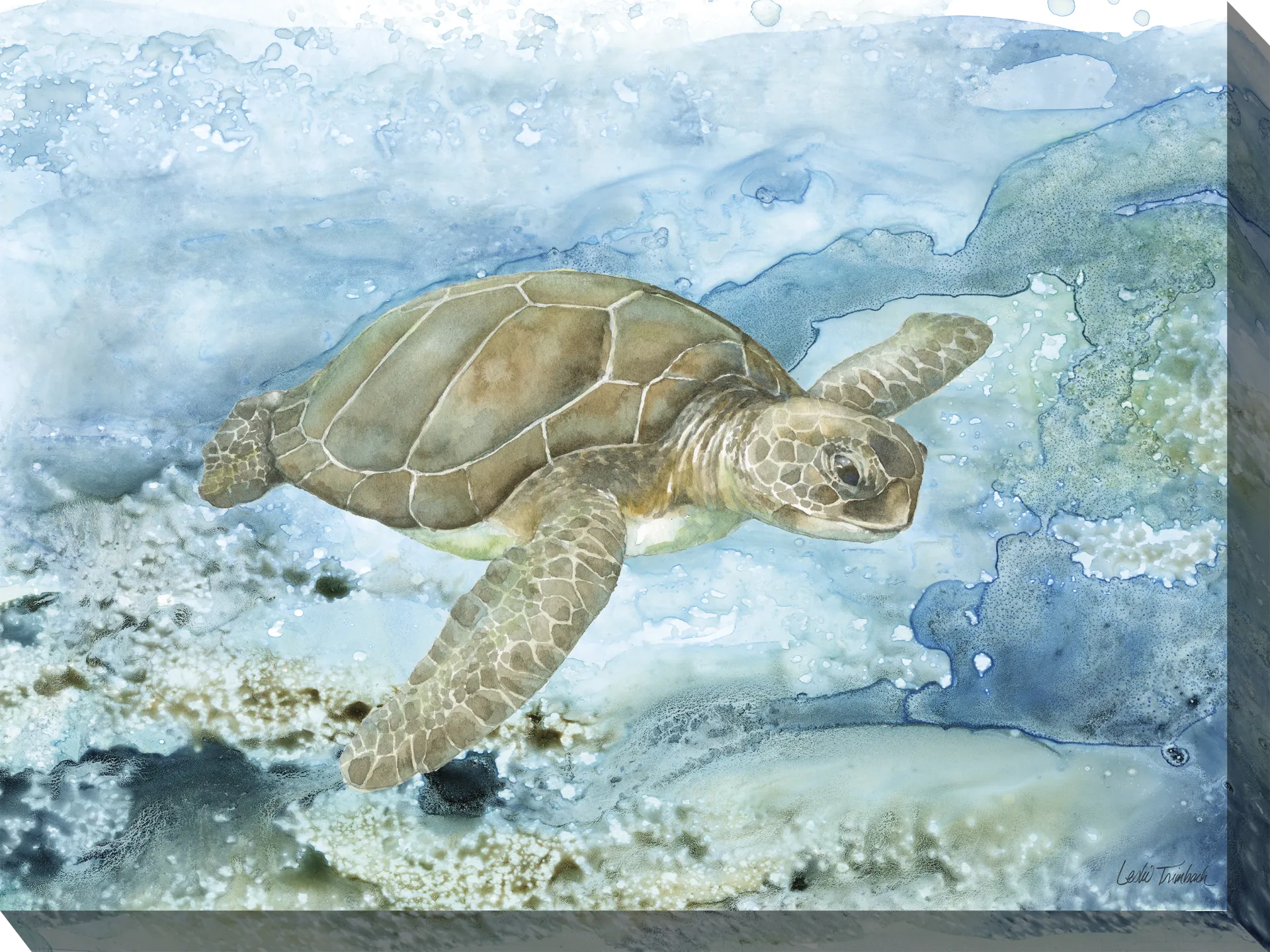Sea Life Turtle Aqua Indoor/Outdoor Wall Art - Image 1