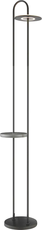 Wyman Lake Black Floor Lamp - Thumbnail - Image 1