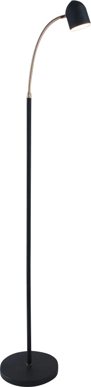 Woodrow Cave Black Floor Lamp - Thumbnail - Image 1