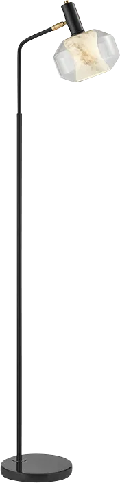 Burdeno Road Black Floor Lamp