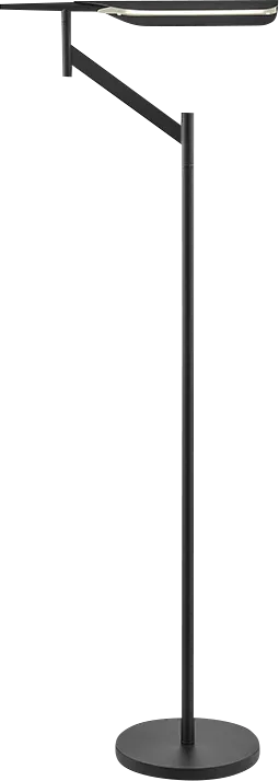 Izara Grove Black Floor Lamp