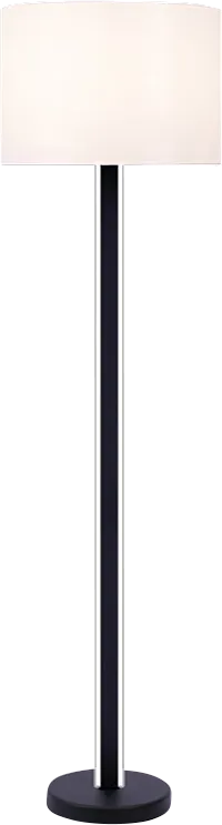 Brinker Valley Black Floor Lamp - Thumbnail - Image 1