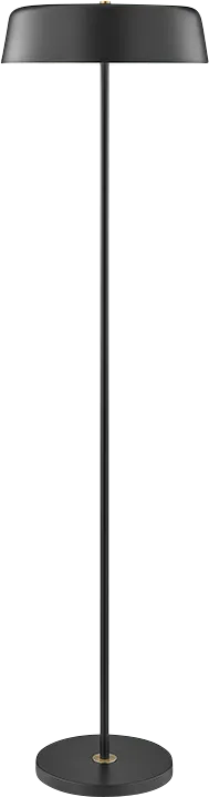 Sioux Grove Black Floor Lamp