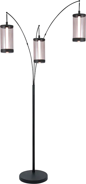 Petoskey Cove Black 3-Light Floor Lamp