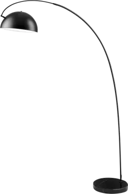 Arcadia Bend Black Floor Lamp