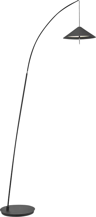 Dunedin Boulevard Black Floor Lamp - Image 1