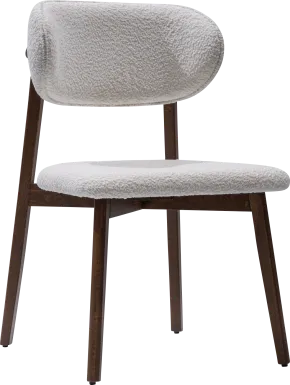 Euphony Brown Side Chair, Set of 2