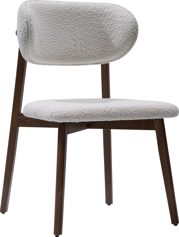 Euphony Brown Side Chair, Set of 2