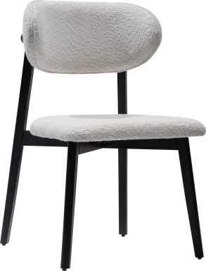 Euphony Black Side Chair, Set of 2