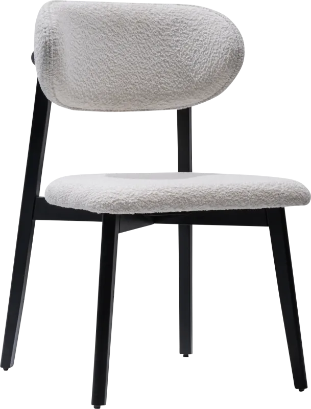 Euphony Black Side Chair, Set of 2