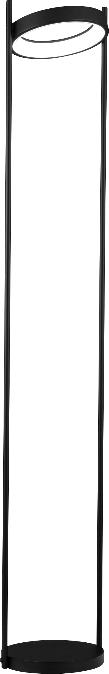 Boxwood Lake Black Floor Lamp - Image 1