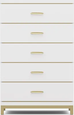 chest