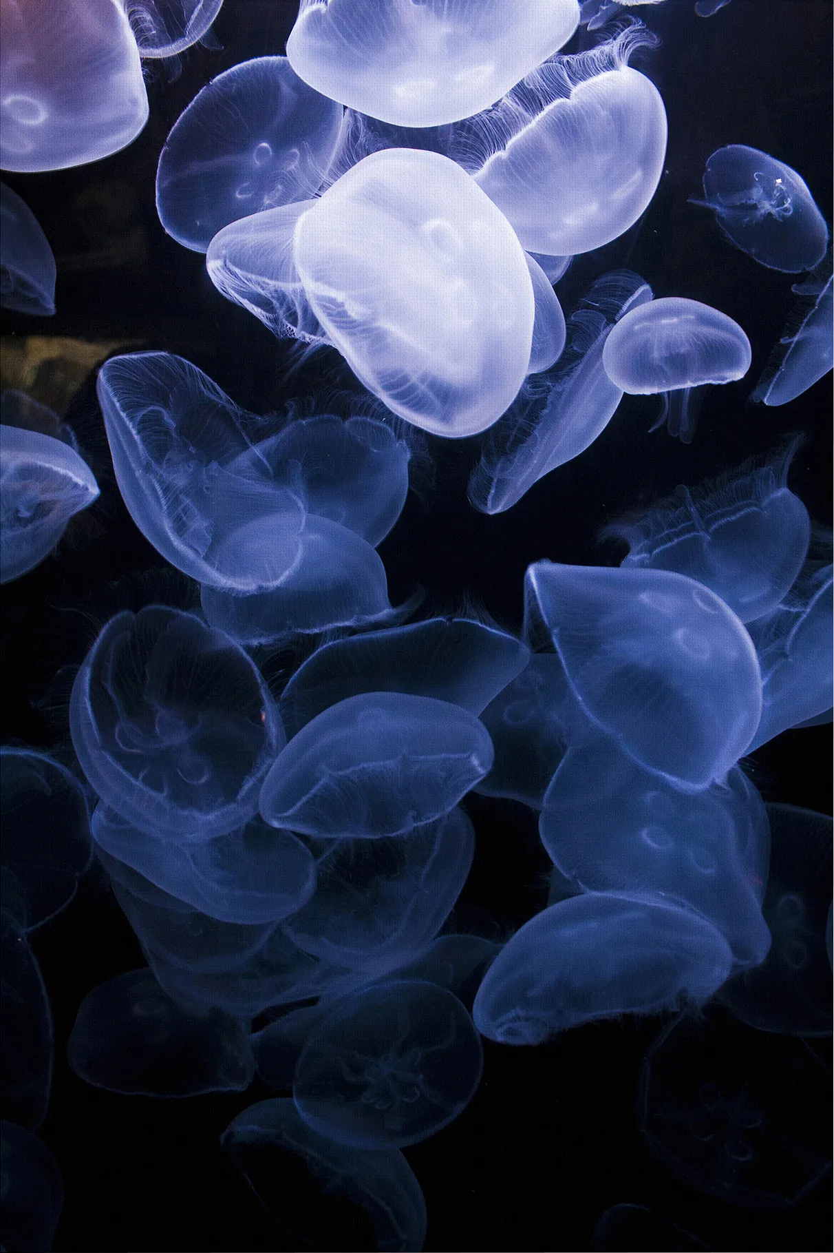 How To Flow Multi Artwork - Thumbnail - Image 1