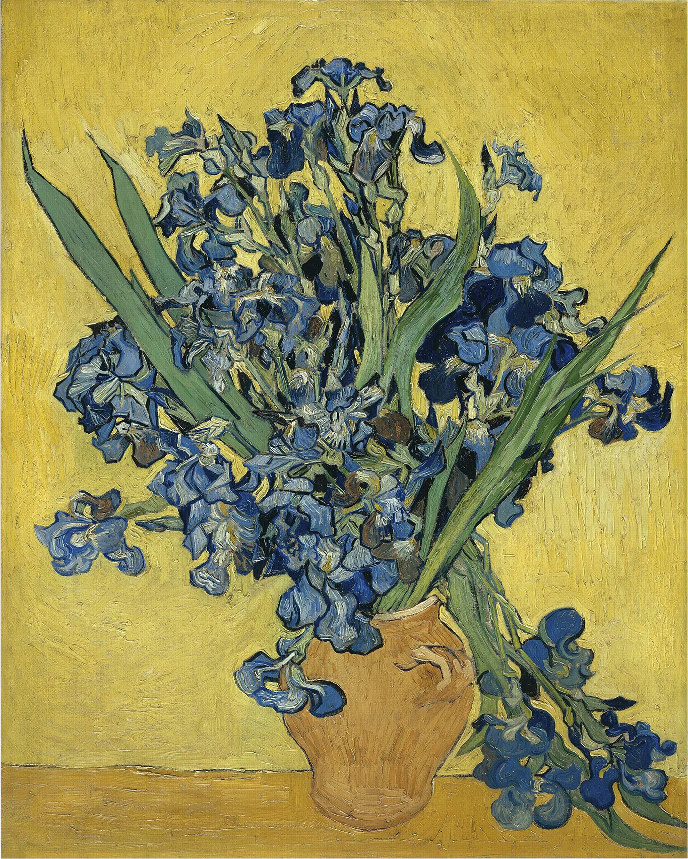 Bold Irises Multi Artwork - Image 1