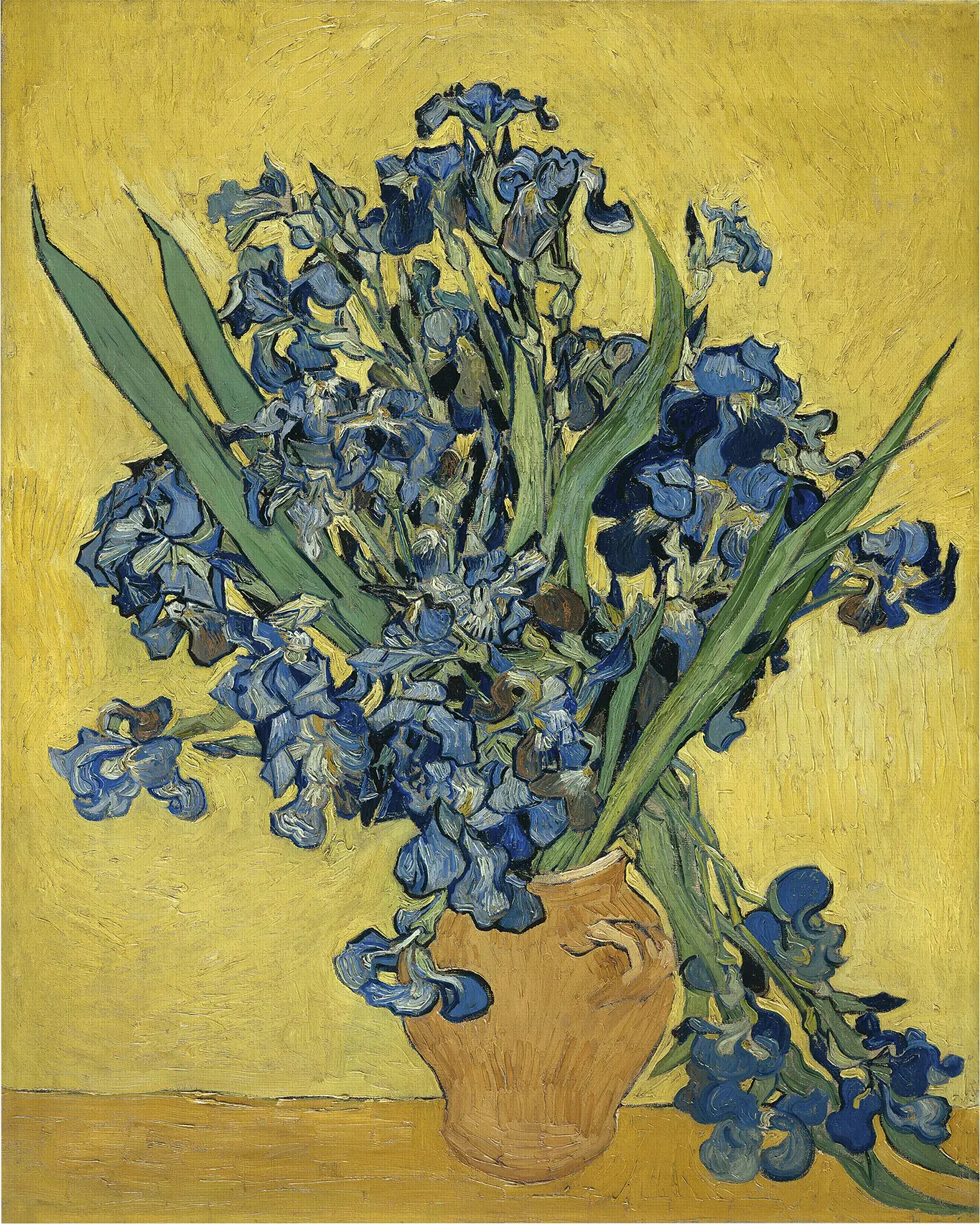 Bold Irises Multi Artwork
