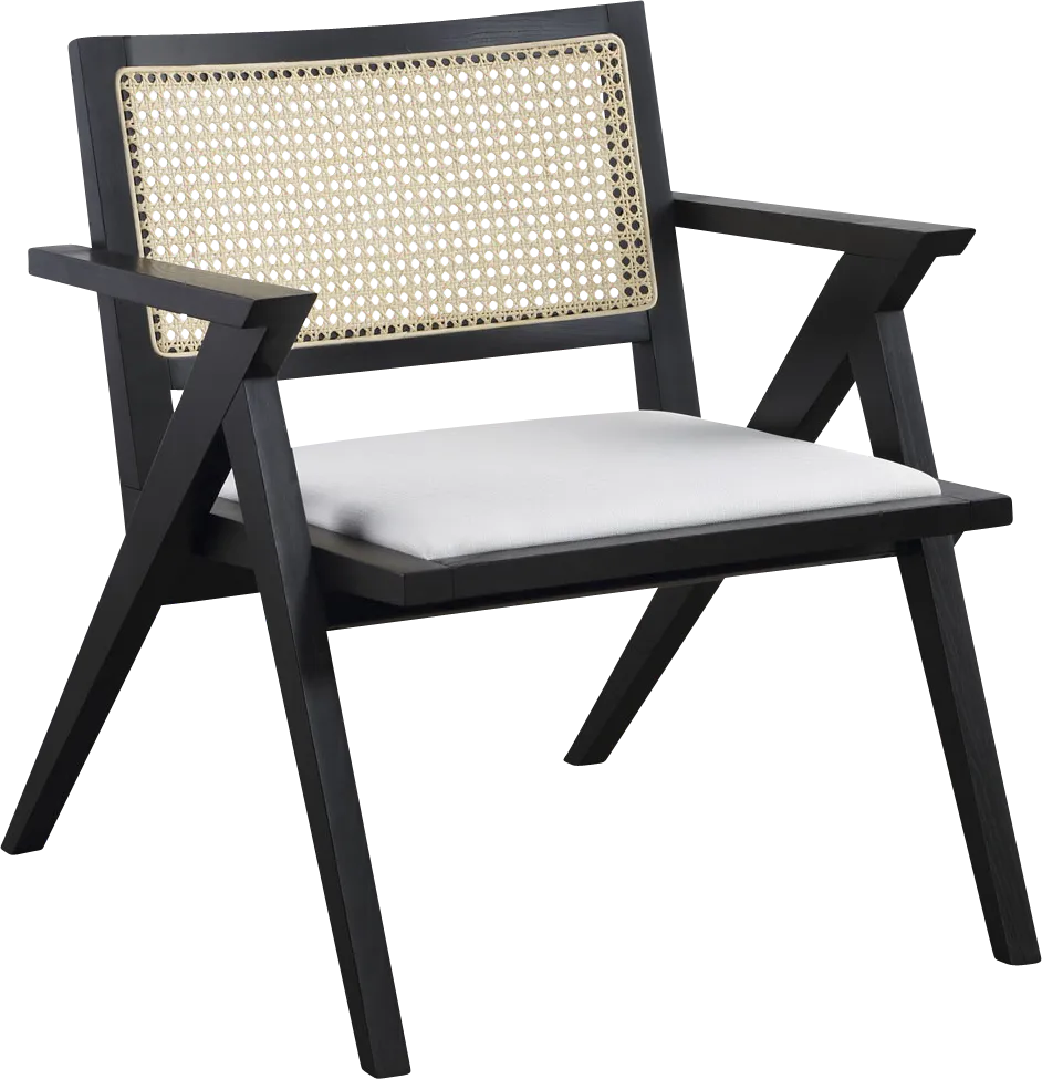 Radpar Black Accent Chair - Thumbnail - Image 1