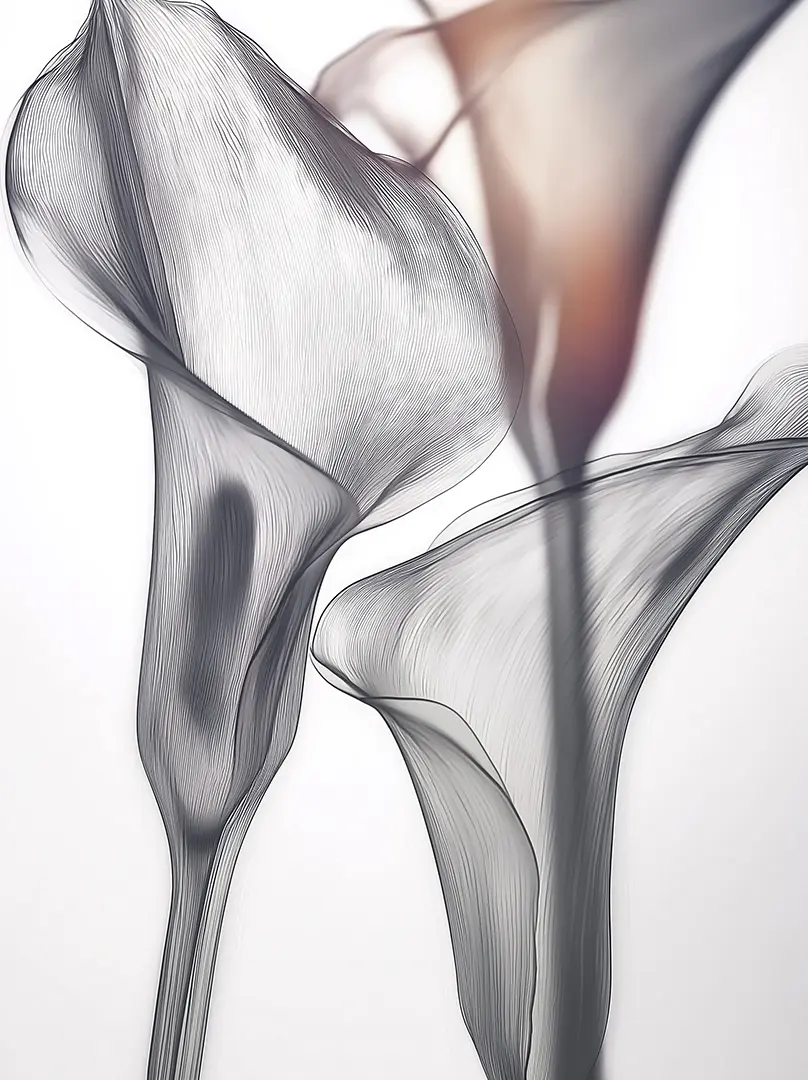 Cally I White Artwork