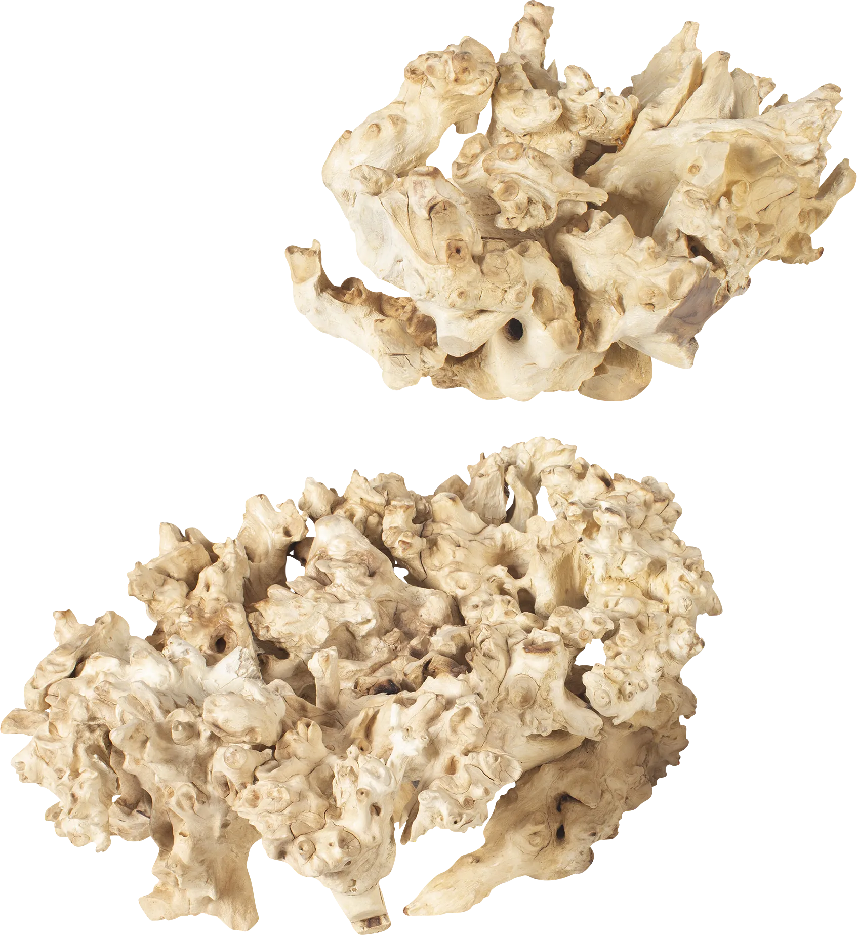 Lascari Ivory Outdoor Sculputure, Set of 2 - Thumbnail - Image 1