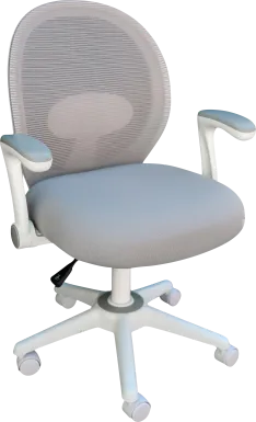 Manso Gray Desk Chair