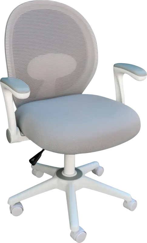 Manso Gray Desk Chair