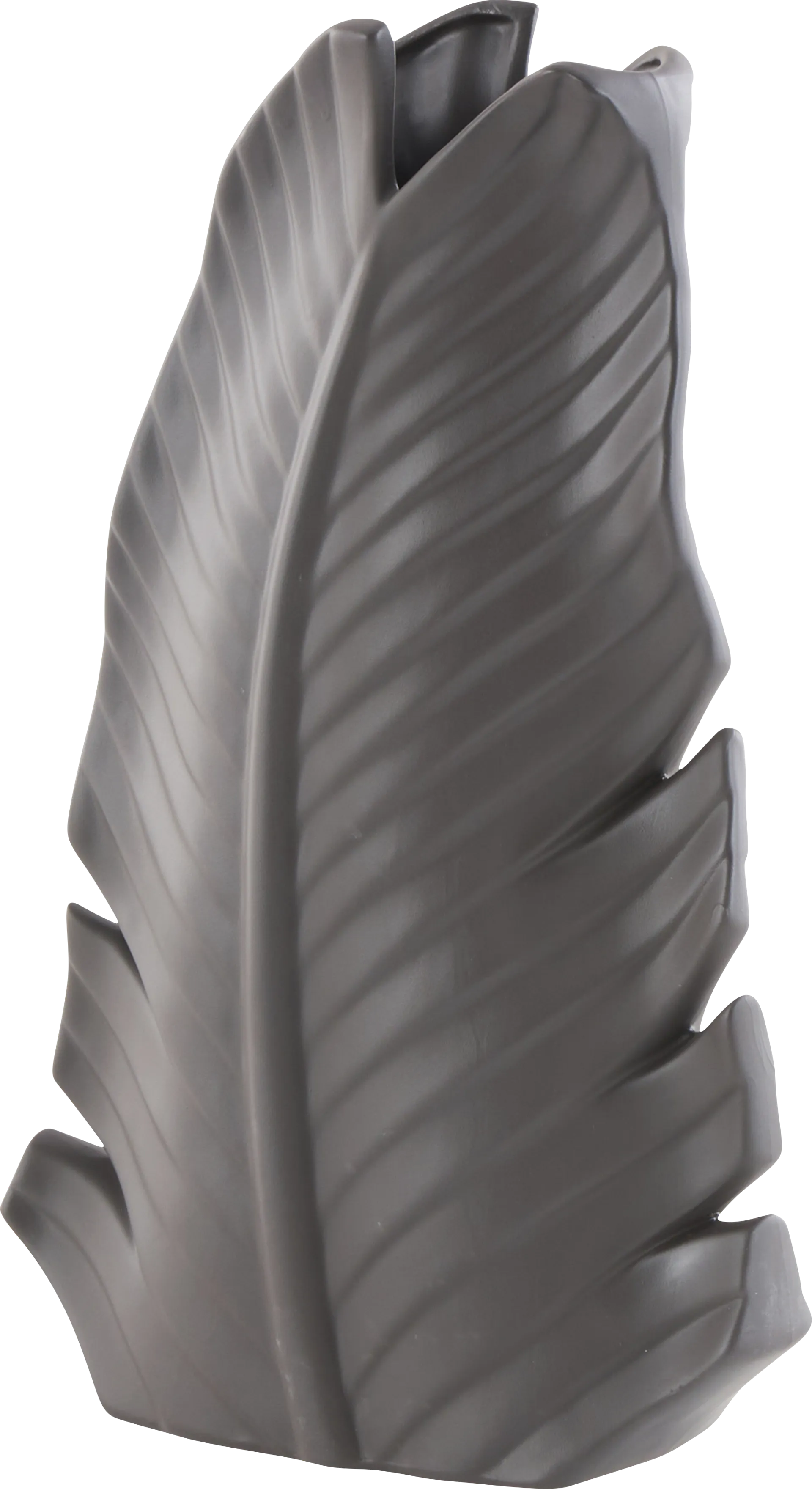 Faeni Black Vase - Image 1