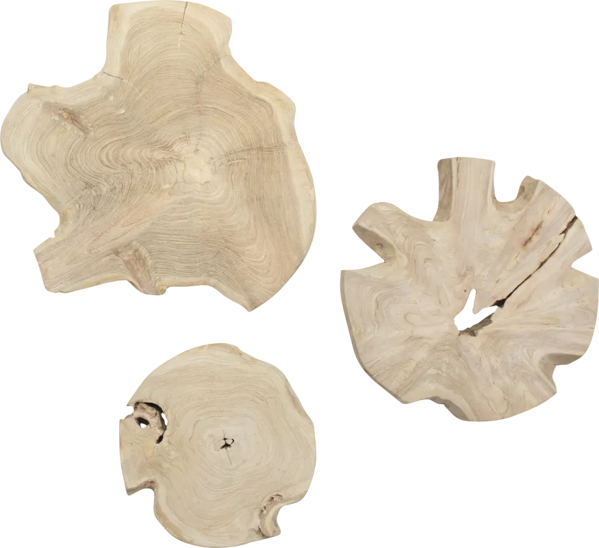 Alenia Natural Outdoor Wall Art, Set of 3
