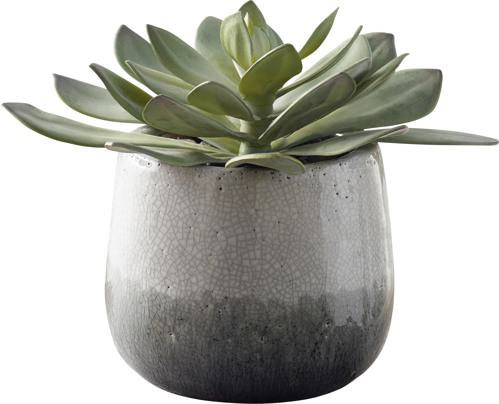 Marsi Gray Indoor/Outdoor Silk Plant - Thumbnail - Image 1