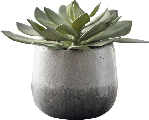 Marsi Gray Indoor/Outdoor Silk Plant