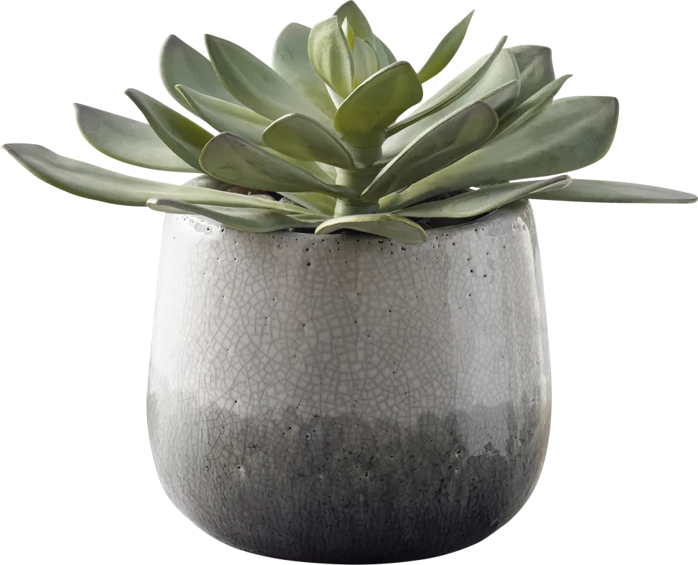 Marsi Gray Indoor/Outdoor Silk Plant