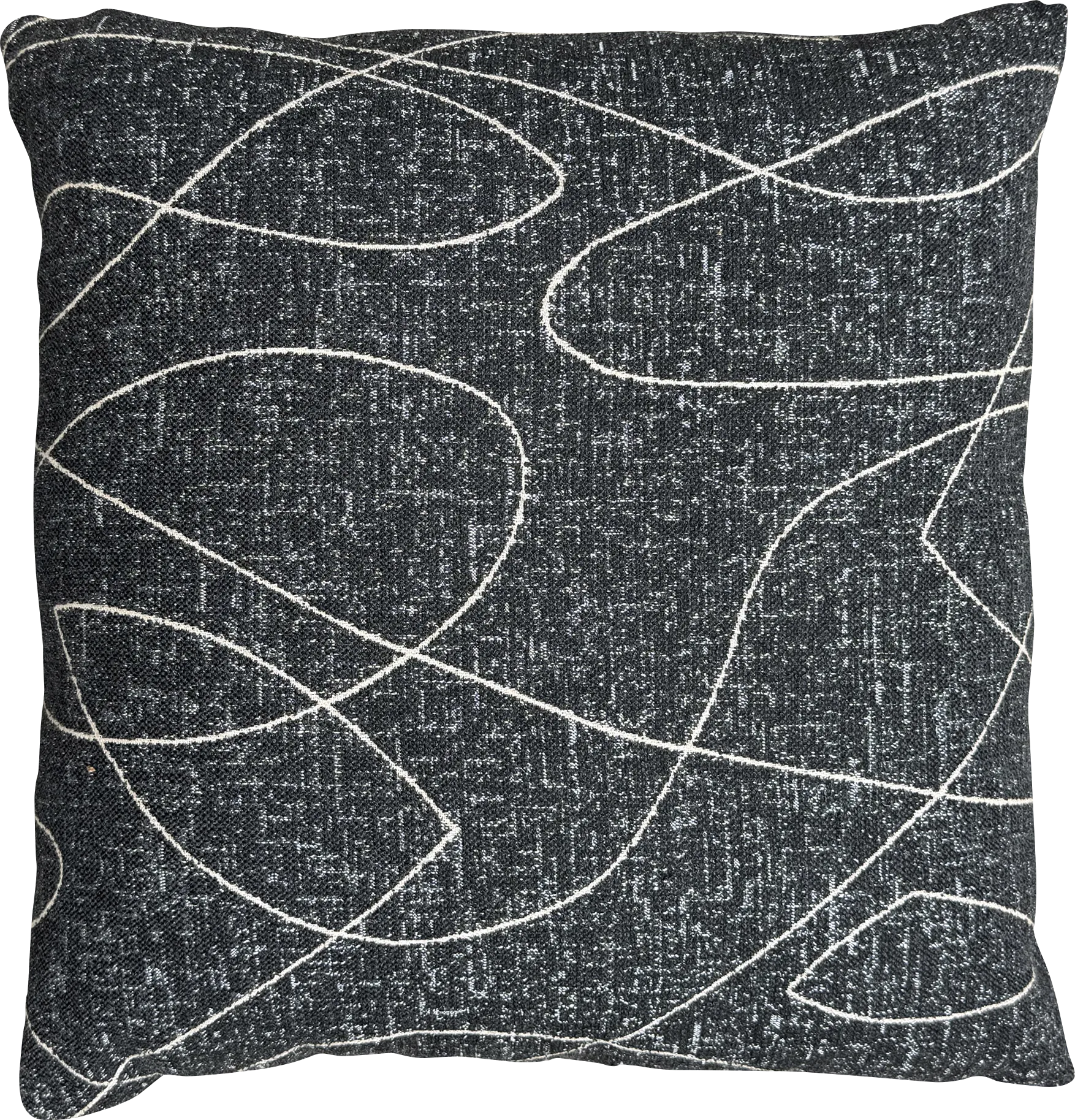 Kahile Black Indoor/Outdoor Accent Pillow - Image 1