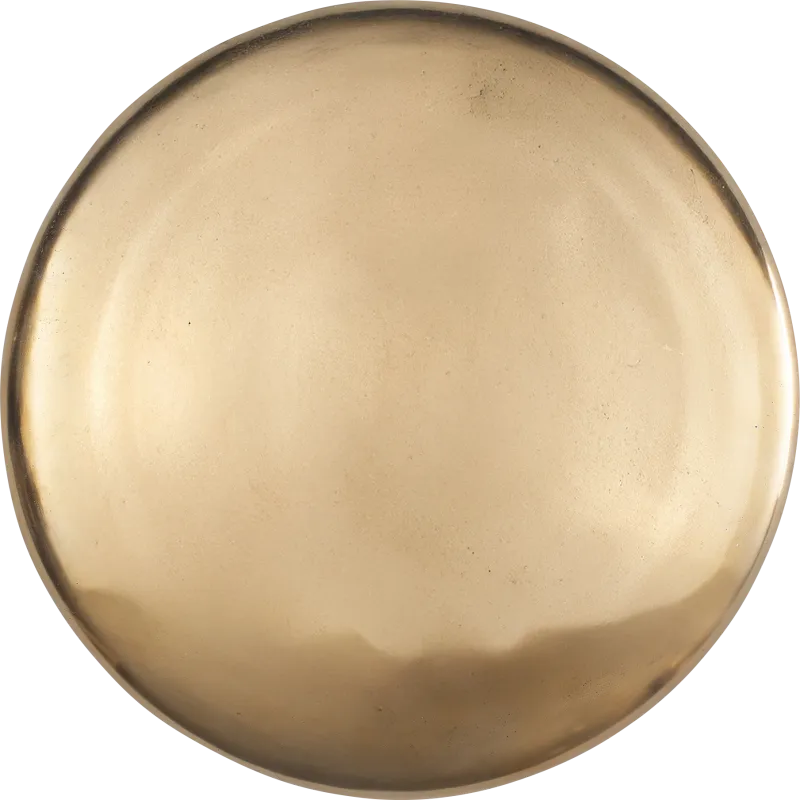 Karpe Gold Outdoor Wall Art