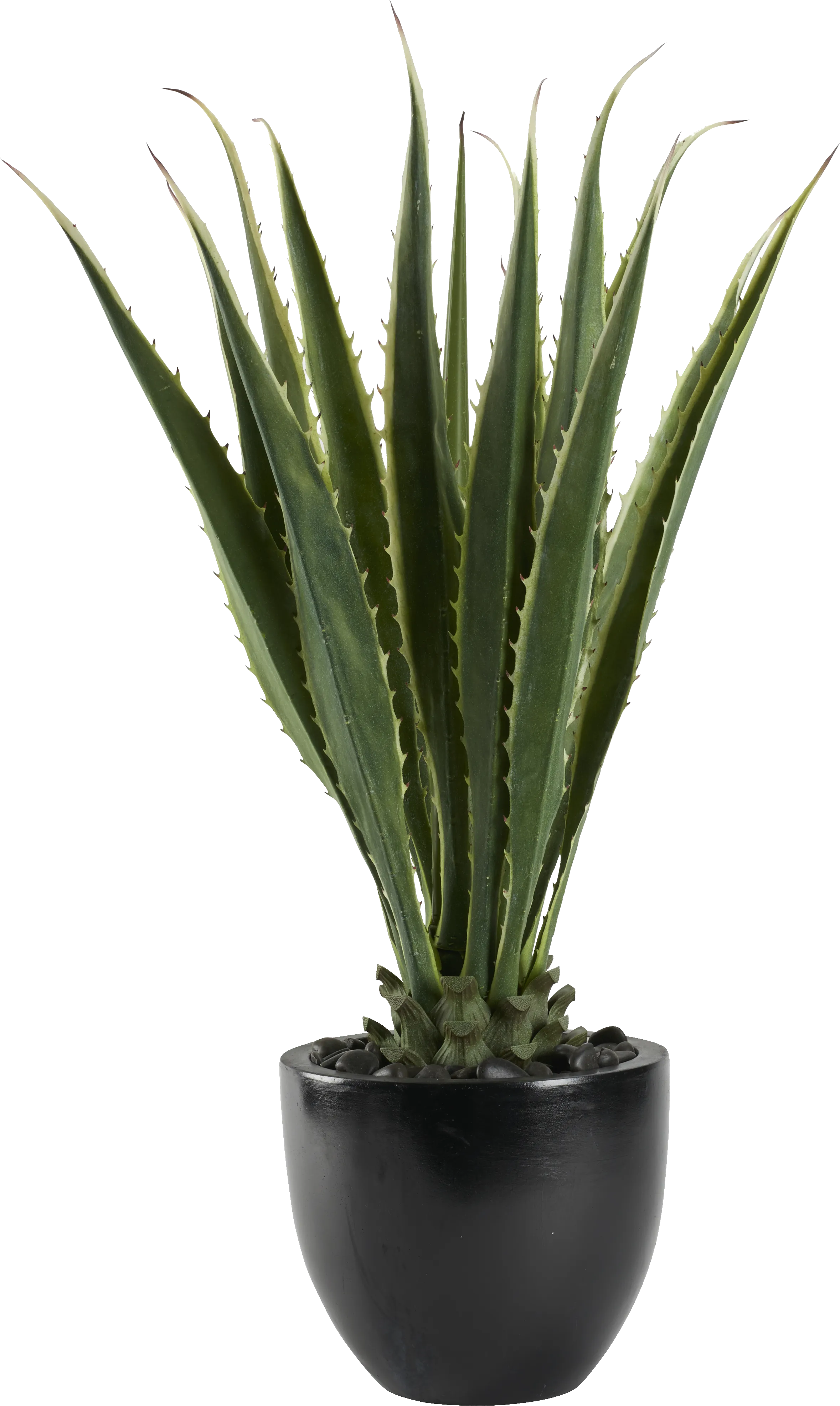 Silvara Green 48in. Artificial Agave in Black Planter - Thumbnail - Image 1