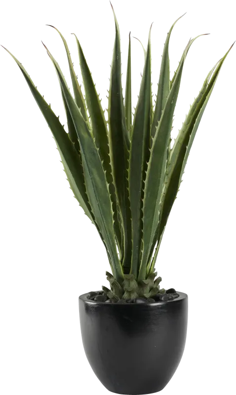 Silvara Green 48in. Artificial Agave in Black Planter