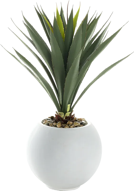 Yuccanova Green 28 in. UV Artificial Yucca in White Planter