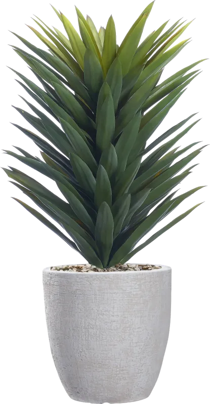 Solara Green 40 in. Artificial Agave in White Planter