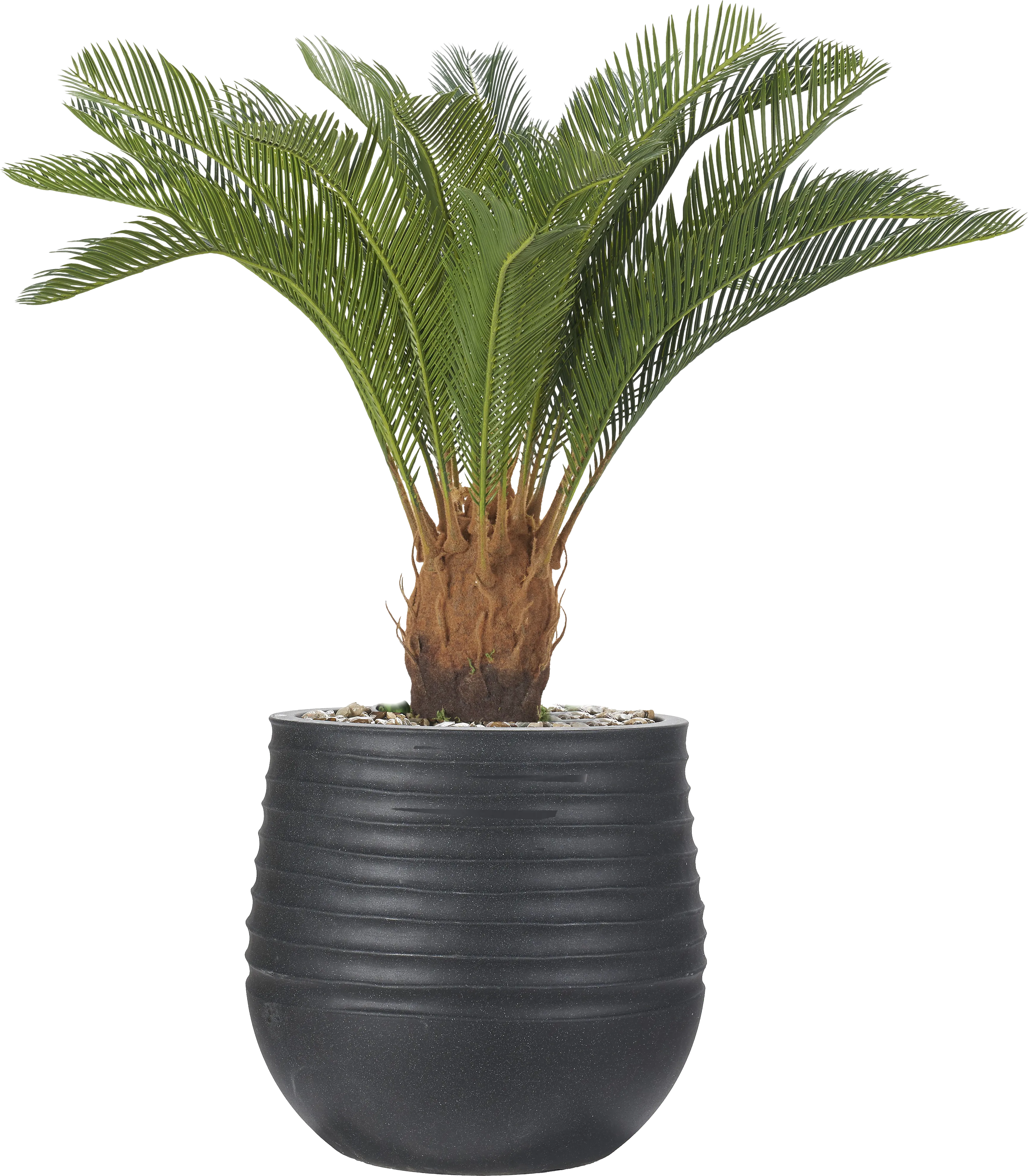 Terralis 38 in. Green UV Artificial Palm Plant in Black Planter - Thumbnail - Image 1